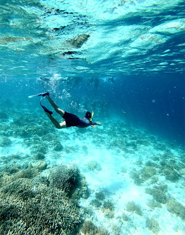 Snorkeling & Diving Snorkeling & Dving